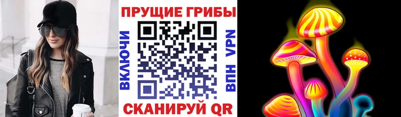даркнет сайт  Камешково  Галлюциногенные грибы прущие грибы 